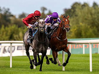 Leopardstown to start Champion...